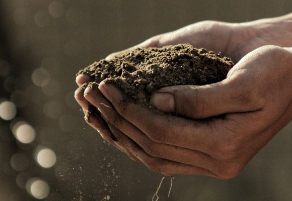 West Kootenay EcoSociety